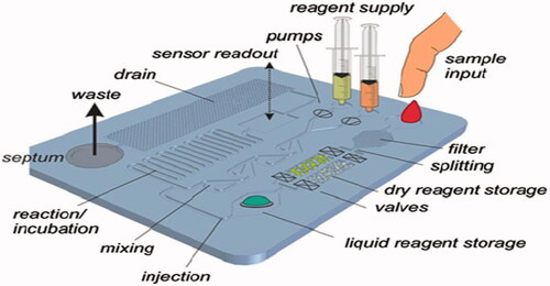 Figure 1. Lab-on-a-chip devices for point of care applications (reprinted from (Castillo-León and Svendsen Citation2014)).