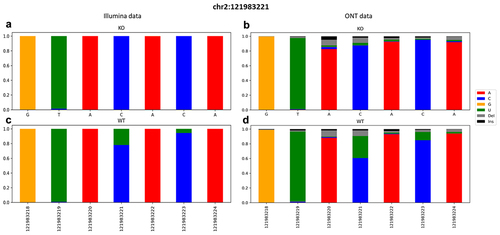 Figure 2. Snapshot of a ±3 region surrounding the known editing site chr2:121983221 of the B2m gene. A graphical representation of the frequencies of aligned bases along with deletions and insertions. Data were retrieved from both KO (on the top) and WT (on the bottom) from Illumina (a, c) and ONT (b, d) runs.