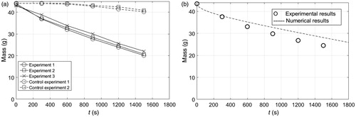 Figure 11. (a) Experimental ice mass as a function of time during cooling of the abdomen of a volunteer. Control experiment refers to ice at room temperature placed on a thermally insulated surface. (b) Experimental and numerical ice mass as a function of time during cooling of the abdomen of a volunteer. Experimental measurements were averaged and adjusted as described in the Results section.