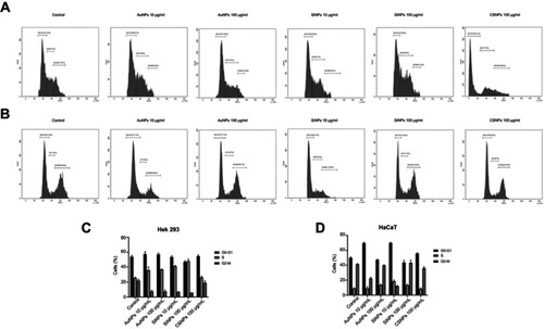 Figure 6 Cell cycle analysis using propidium iodide (PI) staining and flow cytometry.Notes: Flow histogram showed cell cycle distribution of PI-stained human embryonic kidney (HEK293) (A) and keratinocyte (HaCaT) (B) cells treated with different concentrations of engineered nanoparticles (ENPs). The quantitative measurement cell cycle distribution of ENPs treated HEK293 (C) and HaCaT (D) cells.