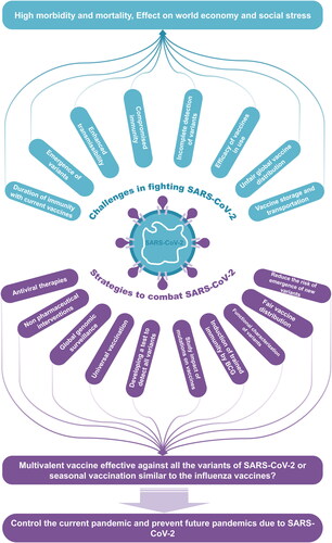 Figure 6. Current challenges and future strategies. An illustration depicting the current challenges to control the Covid-19 pandemic due to emergence of VOCs and various strategies control the combat the current and future pandemics due to corona viruses.