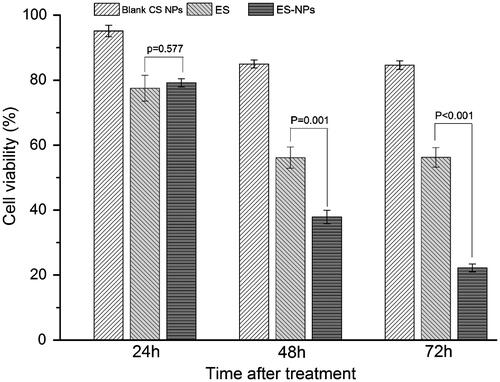 Figure 2. The effects of ES-NPs on cell viability in vitro. HUVECs were treated with ES (200 μg/mL), ES-NPs (contained 200 μg/mL ES) or blank CS NPs for 24 h, 48 h and 72 h. The data showed that ES-NPs had strong effect on inhibiting the proliferation of HUVECs.