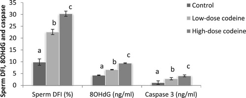 Figure 3. Effect of chronic codeine use on sperm DFI, 80HdG, and caspase3. Same parameter carrying different alphabets (a,b,c) are statistically different at P < 0.05.