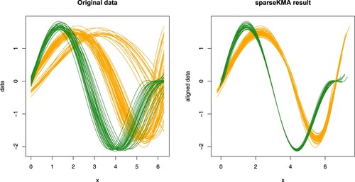 Figure 7. One run of sparseKMA on the data of Simulation 4. Left panel: original misaligned data from Scenario D in Sangalli et al. (Citation2010b), coloured according to true labels; note that a clustering is also present in the phase. Right panel: curves aligned via sparseKMA with K = 2, coloured according to the estimated labels.