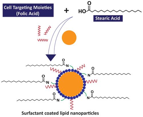 Figure 4 A schematic illustration of surfactant coating of solid lipid nanoparticles.