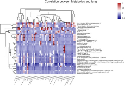 Figure 7. Correlation analysis between metabolite and fungus. The correlation heatmap is used to analyze the correlation between fungal classification and metabolites. *p < .05.