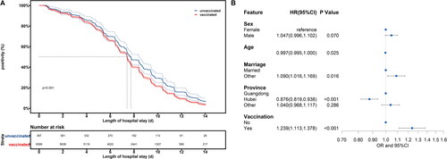 Figure 2. Impact of vaccination on positivity within 14 days. (A) Comparison of positivity rates among different vaccine doses and types during isolation. Red curve represents the positivity rate among vaccinated patients, and blue curve illustrates the positivity rate among unvaccinated patients. (B) Odds of negativity within 14 days for different vaccine doses and types.