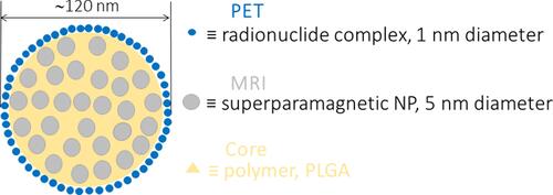 Figure 4 Ideological presentation of an MRI/PET probe based on chelated radionuclides (metal complex for PET imaging) and superparamagnetic iron oxides (SPION for MRI contrast).