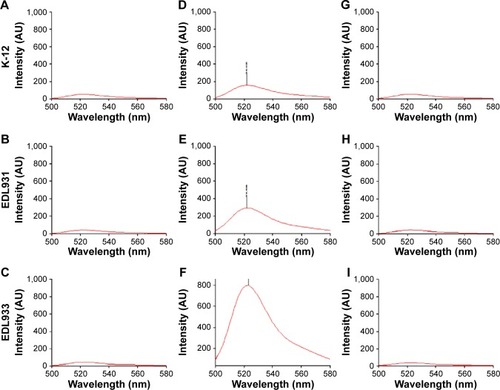 Figure 3 Internal ROS activity of K-12, EDL931, and EDL933 grown for 6 hours in LB broth (A–C), (D–F) LB/DA (5 mg/L) broth, (G–I) addition of DA in mid-log phase cells grown for further 6 hours (ΔT=12 hours).