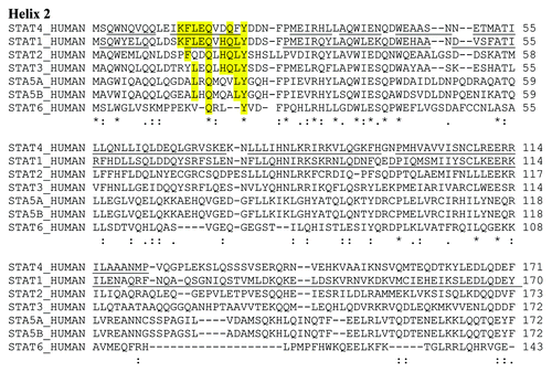 Figure 4. Alighnment of N-terminal domains of STAT transcription factors. Alpha-helixes identified by structural studiesCitation30 are underlined. Residues of helix 2 identical in different STATs are highlighted.