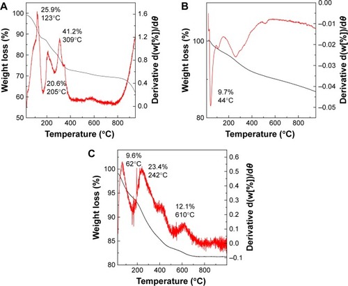 Figure 4 TGA/DTG thermograms of phytic acid sodium salt (A), iron oxide magnetic nanoparticles (B), and PTA-CS-MNP nanocomposite (C).Abbreviations: PTA-CS-MNP, phytic acid-chitosan-iron oxide nanocomposite; TGA/DTG, thermogravimetric and differential thermogravimetric analyses.