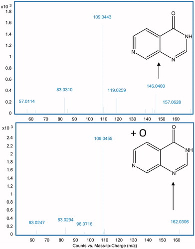 Figure 2. Fragmentation pattern of Compound 1 (m/z 379.17) and its oxidation product (m/z 395.17). The core pyrido[3,4-d]pyrimidin-4(3H)-one fragment in 1 (m/z 146.04) is oxidised in the metabolite (m/z 162.03). No further fragmentation was observed.