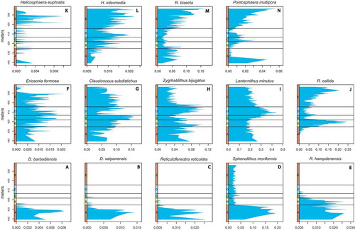 Figure 7. Abundance distribution of paleoecologically significant taxa. (a) Discoaster barbadiensis Tan. (b) Discoaster saipanensis Bramlette & Riedel. (c) Reticulofenestra reticulata (Gartner & Smith) Roth & Thierstein. (d) Sphenolithus moriformis (Brönnimann & Stradner) Bramlette & Wilcoxon. (e) Reticulofenestra hampdenensis Edwards. (f) Ericsonia formosa (Kamptner) Romein. (g) Clausicoccus subdistichus Prins. (h) Zygrhablithus bijugatus (Deflandre in Deflandre & Fert) Deflandre. (i) Lanternithus minutus Stradner, (j) Reticulofenestra callida Perch-Nielsen. (k) Helicosphaera euphratis Haq (l) Helicosphaera intermedia Martini. (m) Reticulofenestra bisecta (Hay, Mohler & Wade) Bukry & Percival. (n) Pontosphaera multipora (Kamptner ex Deflandre in Deflandre & Fert) Roth