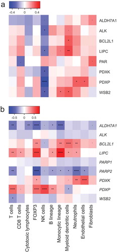 Figure 2. (a,b): Spearman’s correlations coefficients between immune infiltrate estimates (MCP-counter method) and protein score (estimated from immunofluorescence, (a)) or mRNA levels (as determined by transcriptomic studies, (b)). Significant correlations are annotated: *p < 0.1, **p < 0.05, ***< 0.01, ****p < 0.0001.