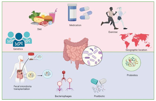 Figure 2. The composition of gut microbiota is influenced by various factors such as genetics of the host, dietary habits, medication, level of physical activity, and geographic location. Patients with nonalcoholic fatty liver disease have alterations in their gut microbial composition. To restore intestinal homeostasis, probiotics, fecal microbiota transplantation, bacteriophages and postbiotics can be used to restore the gut microbial composition.
