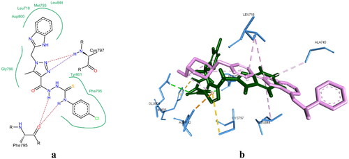 Figure 11. (a) 2D interaction of compound 5a with EGFR active site (PDB code: 2J6M). (b) Aligned conformation of compound 5a (Green) with co-crystallised ligand (Magenta) inside EGFR.