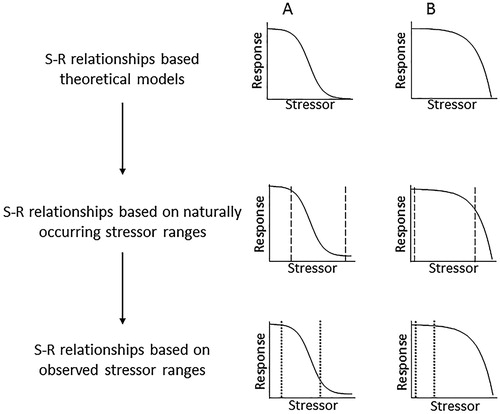 Figure 2. Sequences of S-R relationships from theoretical models to naturally occurring relationships (based on natural stressor ranges indicated by dashed lines), to observed relationships (based on monitoring over a limited stressor range indicated by dotted lines). A, Logistic S-R relationship appears to be logarithmic when observations exclude low stressor levels. B, Exponential S-R relationship appears to be linear when observations exclude high stressor levels.