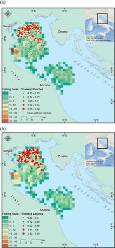 Figure 8. Map of the study area in the north-central Adriatic Sea, depicting the spatial distribution of midwater pair-trawl fishing effort in relation to the (a) observed and (b) predicted abundances (CPUE, number of individuals per 106 m3) of Common Eagle Rays in the catch during 2013.