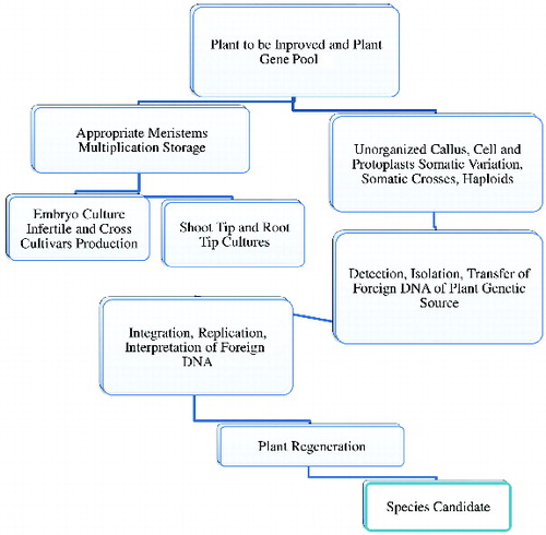 Figure 1. Role of biological gene pools in plant improvement studies using biotechnological methods.