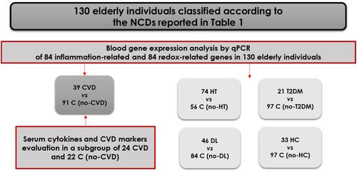 Figure 1 Classification of the 130 recruited elderly patients in case and control groups, according to comorbidities (CVD-cardiovascular diseases, HT-hypertension, DL-dyslipidemia, HC-hypercholesterolemia, T2DM- Type 2 diabetes mellitus). The subjects presenting a type of comorbidity constituted the case group, while all the other subjects in the cohort, not presenting that specific comorbidity, constituted the control group (C).