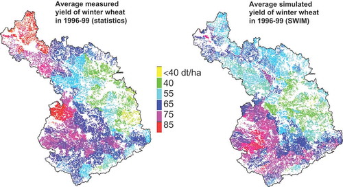 Fig. 10 Comparison of average measured (according to statistical data) and simulated yield of winter wheat for the German part of the Elbe basin (Germany) in 1996–1999.