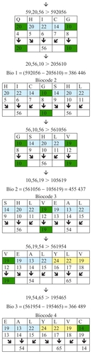 Figure 3 Examples of biocodes.