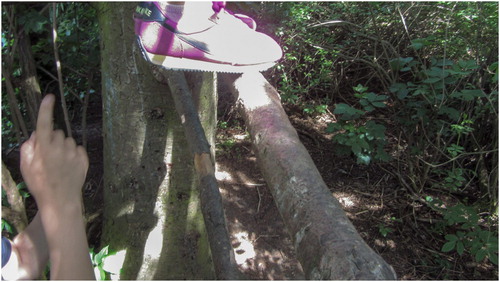 Figure 1. Showing each other some favourite trees and how to climb them.