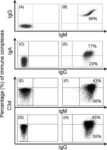 Figure 1. Flow cytometry dot plots of in vitro-formed immune complexes. Immunoglobulin complex detection is shown from (A) to (D), and C3d complement deposition is shown from (E) to (H) on umbilical cord erythrocytes. Left panels correspond to isotype controls and right panels with human secondary antibodies. (A) and (B) dot plots depict simultaneous detection of IgG and IgM complexes. (C) and (D) dot plots simultaneous detection of IgA and IgG complexes. (F) and (H) dot plots show C3d deposition on independent IgM and IgG complexes, respectively; (E) and (G) controls with decomplemented serum. IgG complexes were formed with anti-Rh serum containing antibodies on Rh+, IgM complexes were formed with anti-AB serum on AB and IgA complexes were formed with human IgA added to acid tannic-treated erythrocytes.