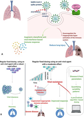 Figure 1. A. Potential targets for treatment of SARS-CoV-2 infection at the receptor level affecting downstream immune responses to the virus. B. The introduction of personalized variability to counter resistance to antiviral treatments. Regular, fixed dosing using an antiviral agent with robust and rapid effects is expected to lead to viral clearance, while fixed dosing regimens of moderately effective drugs may lead to drug resistance, viral persistence, an augmented hyperactivation of the immune system, and severe disease. The introduction of an algorithm-based dosing method based on quantified variability patterns derived from disease and host parameters improves the response to antiviral drugs.