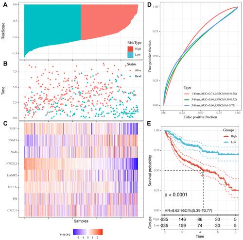 Figure 2 Distributions of risk scores (A), death status, survival time (B), and expression levels of the eight genes used to derive the prognostic signature tool (C) were visualized to evaluate the prognostic difference between a high-risk group and a low-risk group after LASSO Cox regression. Time-dependent ROC curve and area under the curve of the signature (D). Kaplan-Meier plots of overall survival in the high-risk and low-risk groups in the training set determined via Log rank testing (E).