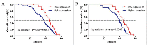 Figure 3. Kaplan-Meier survival curves of 98 patients with CRC. (A) OS for high and low tmTNF-α expression patients; (B) DFS for high and low tmTNF-α expression patients. Patients with high tmTNF-α expression have more favorable OS and DFS (P = 0.0163 for OS and P = 0.0209 for DFS).