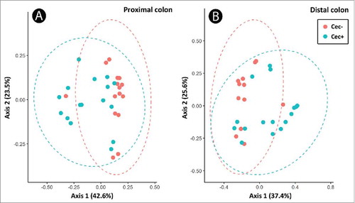 Figure 4. Principal component analysis based on Bray-Curtis dissimilarity in bacterial communities in the proximal (A) and distal (B) colon of mice that received sham (Cec-) or cecectomy (Cec+) surgeries 14 days post-inoculation.