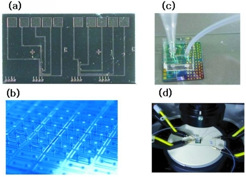 Figure 3 Electrical signal measurement system composed of (a) siNWs chip device, (b) PDMS with channel, inlet, and outlet, (c) chip with PDMS channel connected to syringe pump and outlet tube, and (d) chip-mountable probe station.