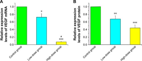 Figure 3 The expression levels of VEGF at 28 days after TAE-mediated VEGF siRNA in vivo.