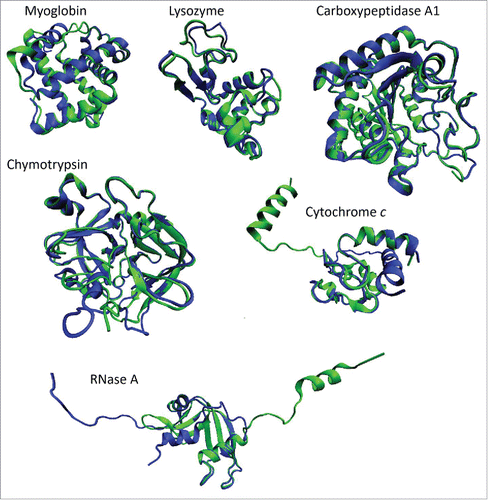 Figure 2. Characterization of structural flexibility of 6 proteins considered as crystallization classics. For each protein, structural alignments were conducted using the MultProt (http://bioinfo3d.cs.tau.ac.il/MultiProt/)Citation64 for pairs of structures characterized by the largest difference according to the PDBFlex analysis. Analyzed structures include PDB entries 105mA (blue ribbon) and 2eb8A (green ribbon)Citation65 for myoglobin, 1lkrB (blue ribbon) and 1a2yC (green ribbon) for lysozyme, 1f0vB (blue ribbon)Citation62 and 3fkzA (green ribbon)Citation66 for RNase A, 1oxgA (blue ribbon)Citation67 and 1ex3A (green ribbon)Citation68 for chymotrypsin, 1u75B (blue ribbon)Citation69 and 3nbsC (green ribbon)Citation63 for cytochrome c, and 2abzB (blue ribbon)Citation70 and 1hdqA (green ribbon)Citation71 for carboxypeptidase A1. Structures presented in this plot were generated using a molecular graphics program VMD.Citation72
