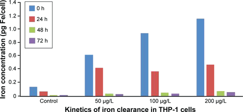 Figure S1 In vitro uptake and clearance of SPIONs in THP-1 monocytic cells.Notes: THP-1 cells (triplicate samples) were incubated with given concentrations of SPIONs for 24 hours. Afterward, the cells were washed to remove noninternalized SPIONs and cultured for further 72 hours in the absence of nanoparticles. The measurement of iron content per cell was done using atomic emission spectroscopy at the time of SPION removal (0 hour) and after 24, 48, and 72 hours postremoval. Gradual decrease in cellular iron content is observed over 72 hours due to cell metabolism and proliferation.Abbreviation: SPIONs, superparamagnetic iron oxide nanoparticles.