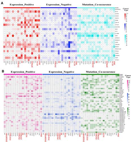 Figure 3 Correlations of 21 core secretome genes with immunomodulator genes in TMB-high group across 14 cancer types. (A) Heatmap showing correlations among 21 core secretome genes (bottom) and 24 immune-inhibitor genes (right). (B) Heatmap showing correlations among 21 core genes (bottom) and 46 immune-stimulator genes (right). Numbers in (A and B) show cancer types with significant gene pairs.