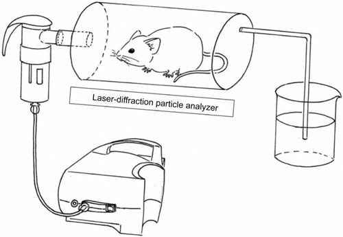 Figure 1 Device delivering drug to animal and device testing droplet-size distribution of nebulized micelles.