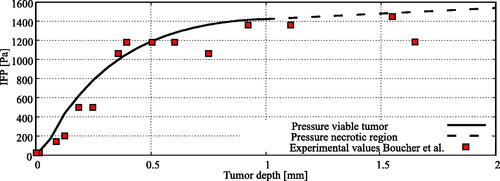 Figure 4. Experimental comparison for the interstitial fluid pressure (IFP) profile in the 4 millimeter tumor nodule considered in this study with experimental data from Boucher et al. (Citation1990). The interstitial pressure profile inside the necrotic region was linearly interpolated between boundaries of the necrotic and viable tumor tissue.