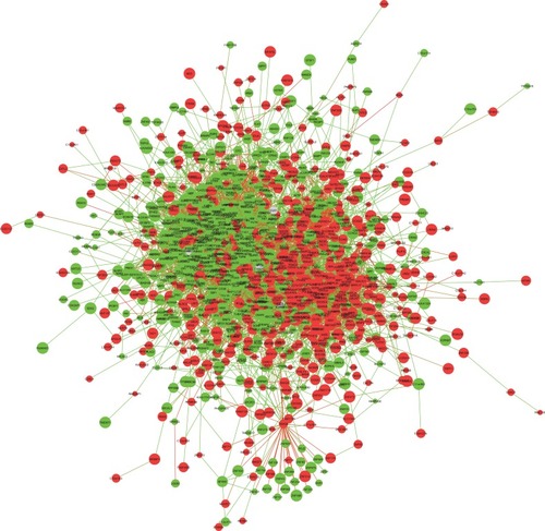 Figure 2 The giant network consisting of 1270 nodes and 7818 edges was extracted from the whole PPI network. Key nodes in the giant network are highlighted in different colors: red corresponds to the up-regulated gene and green corresponds to the down-regulated gene in AL amyloidosis.
