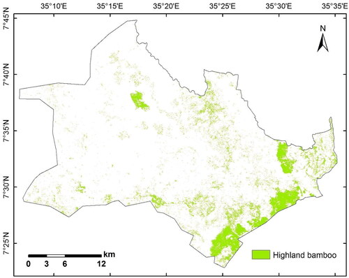 Figure 7. Map showing the distribution of natural highland bamboo forest in Andracha district Southwest Ethiopia, in 2020 from RF classifier with all the spectral, vegetation and textural variables in the annual composite.