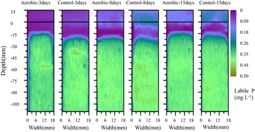 Figure 4. Effects of aerobic conditions on two-dimensional labile P concentrations in sediment.