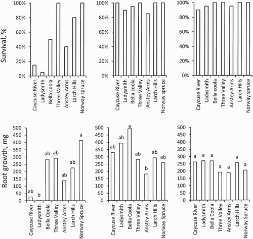 Figure 3. Survival (%) (above) and mg root growth per 5 seedlings (below) in 3-week regrowth tests for seedlings stored 28 October 2013 (left), 9 December 2013 (middle) and 13 January 2014 (right). First regrowth test for seedlings stored during 2013 started 5 May 2014 while the regrowth test for seedlings stored 2014 started 2 June 2014. Root growth is given as the mean of four replicates each containing five seedlings. N = 4. Regarding root growth, means with the same letter indicate no significant differences at p = .05 according to Tukey’s test.