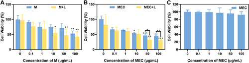 Figure 7 Cell viability of JEG-3 cells treated with different concentrations of M (A) and MEC (B) with/without NIR laser irradiation (808 nm, 10 min), (C) Cell viability of IOSE-80 cells treated with different concentrations of MEC. *P <  0.05; **P <  0.01; ***P <  0.001.
