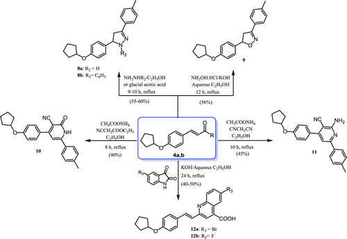 Scheme 2. Synthesis of the designed pyrazoline, isoxazoline, cyanopyridine, and quinoline-4-carboxylic acid derivatives.