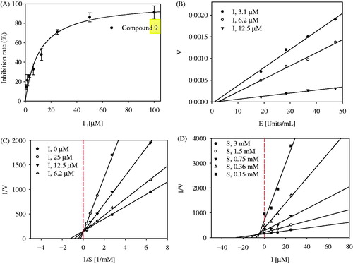 Figure 3. (A) Inhibitory activity of compound 9 on tyrosinase (IC50: 9.8 ± 0.9 μM; kojic acid =19.5 ± 1.5 μM). (B) Relationship of the hydrolytic activity of tyrosinase with enzyme concentration at a variety of inhibitor concentration. (C) Lineweaver–Burk plot (Competitive type) and (D) Dixon plot (Ki: 5.8 ± 0.9 μM) for the inhibition of compound 9.