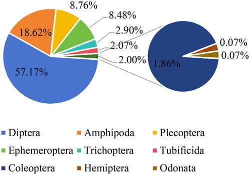 Figure 3. Abundance percentage of benthic macroinvertebrate taxa in broad taxonomic groups.