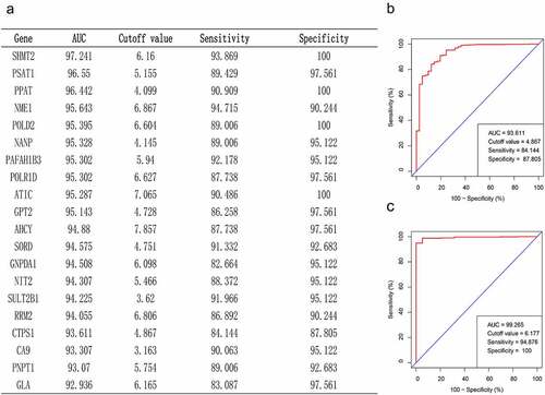 Figure 2. Critical gene identification for CRC diagnosis. (a) In the TCGA database, we filtered out the top 20 genes based on their AUC values. (b, c) Sensitivity and specificity of CTPS1 as a diagnostic biomarker for CRC assessed by ROC curves in TCGA database and GSE39582 dataset, respectively.