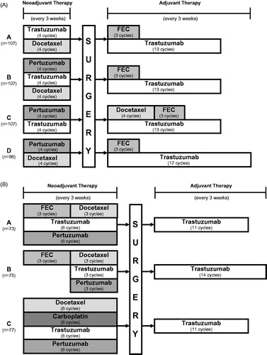 Figure 2. Trial design of NeoSphereCitation30 (A) and TRYPHAENACitation31 (B). In NeoSphere (A), patients were given four cycles of neoadjuvant therapy and in TRYPHAENA (B), they were given six cycles of neoadjuvant therapy. From the NeoSphere trial, Arm A was used as the comparator arm for the model and Arm B was used as the model treatment arm. From TRYPHAENA, Arm C was chosen for the base-case analysis to better reflect Canadian clinical practice. The following drug doses were used: pertuzumab loading dose of 840 mg and maintenance doses of 420 mg; trastuzumab loading dose of 8 mg/kg, maintenance doses of 6 mg/kg; docetaxel was given at an initial dose of 75 mg/m2, with dose escalation to 100 mg/m2 permitted, if tolerated; FEC in the NeoSphere trial was 600 mg/m2 5-fluorouracil, 90 mg/m2 epirubicin, 600 mg/m2 cyclophosphamide; FEC in the TRYPHAENA trial was 500 mg/m2 5-fluorouracil, 100 mg/m2 epirubicin, 600 mg/m2 cyclophosphamide; carboplatin was used at a dose of AUC 6 (median 707.5 mg).