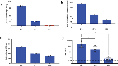 Figure 5. Antigenicity and % closed tetramer are potential critical quality attributes (pCQAs). Accelerated stability studies were initiated using rNA in KP-10% sucrose buffer. Samples from 3 months timepoint at 5°C and 37°C incubation and 1 week at 45°C were tested for (a) % closed tetramer by SEC (n = 2), (b) Tamiflu-binding (n = 1), (c) Antigenicity by ELISA (n = 2), and (d) immunogenicity, with symbols indicating NAI titer of individual animals, bars represent geometric mean titer (GMT) with 95% CI of 5–6 animals/group (* p < 0.05, Tukey’s multiple comparison test). All measurements decreased with increasing temperature and % closed tetramer by SEC and antigenicity by ELISA were considered pCQAs.